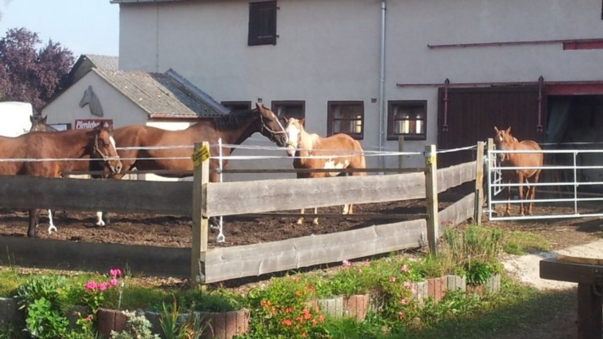 Reitanlage Ernst Reitanlage Ernst